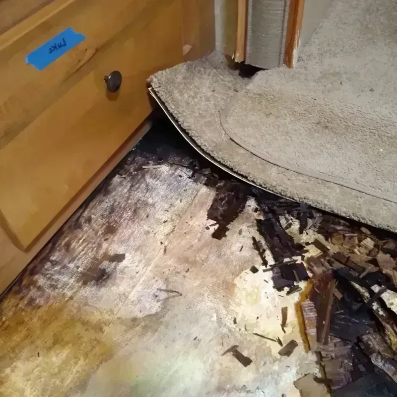 Wood Floor Water Damage in Waukesha, WI